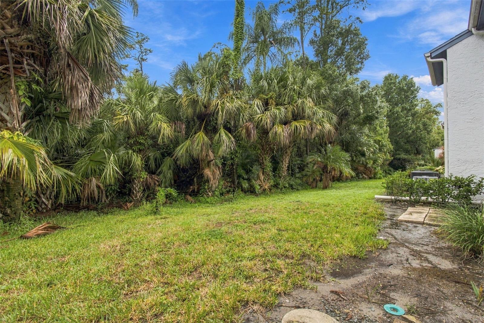 131 CYPRESS LANE, #131, Oldsmar, FL 34677
