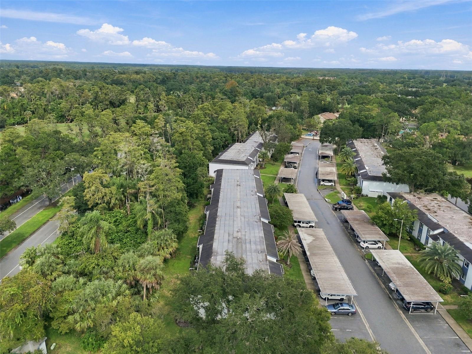 131 CYPRESS LANE, #131, Oldsmar, FL 34677