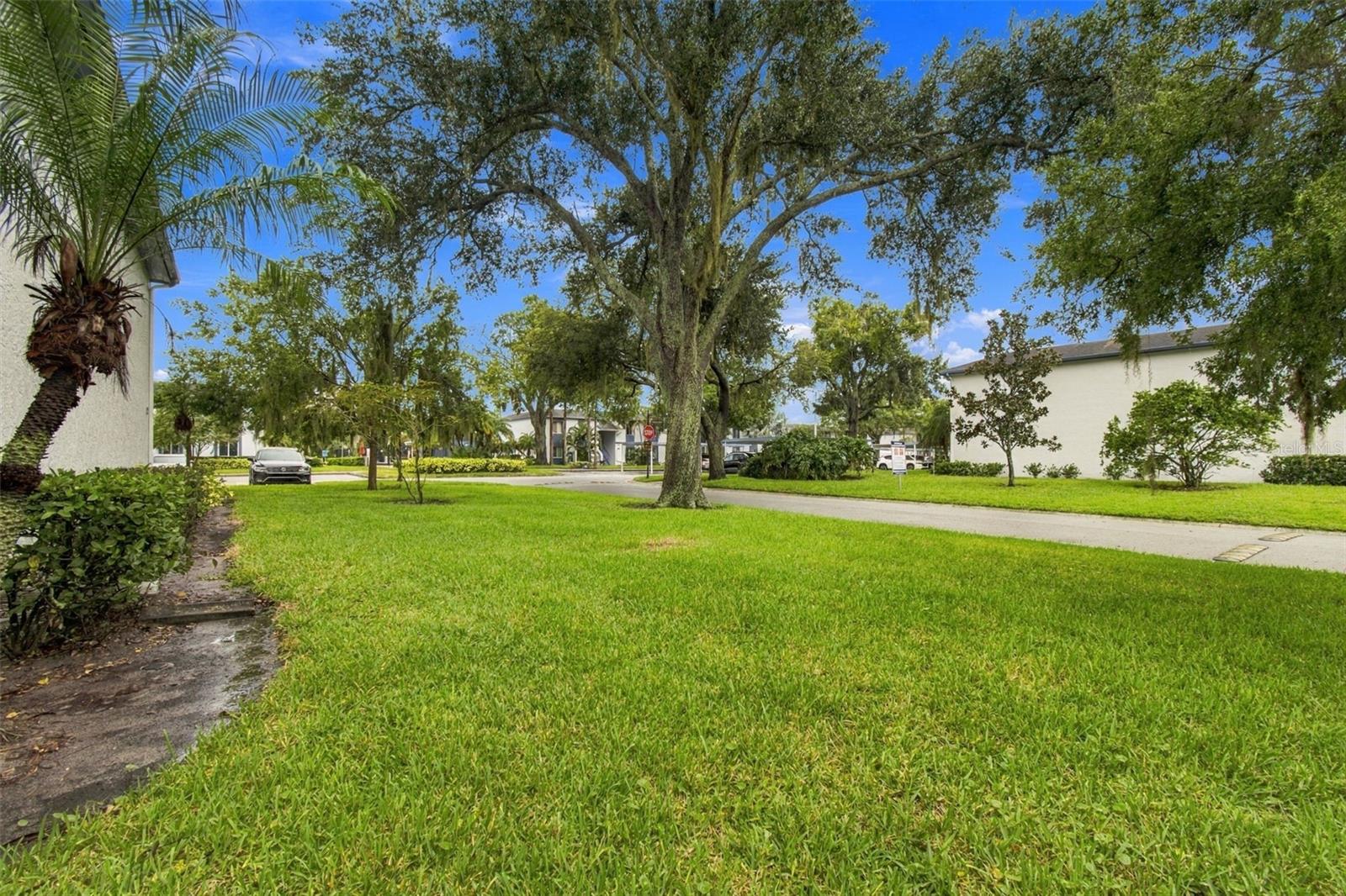 131 CYPRESS LANE, #131, Oldsmar, FL 34677