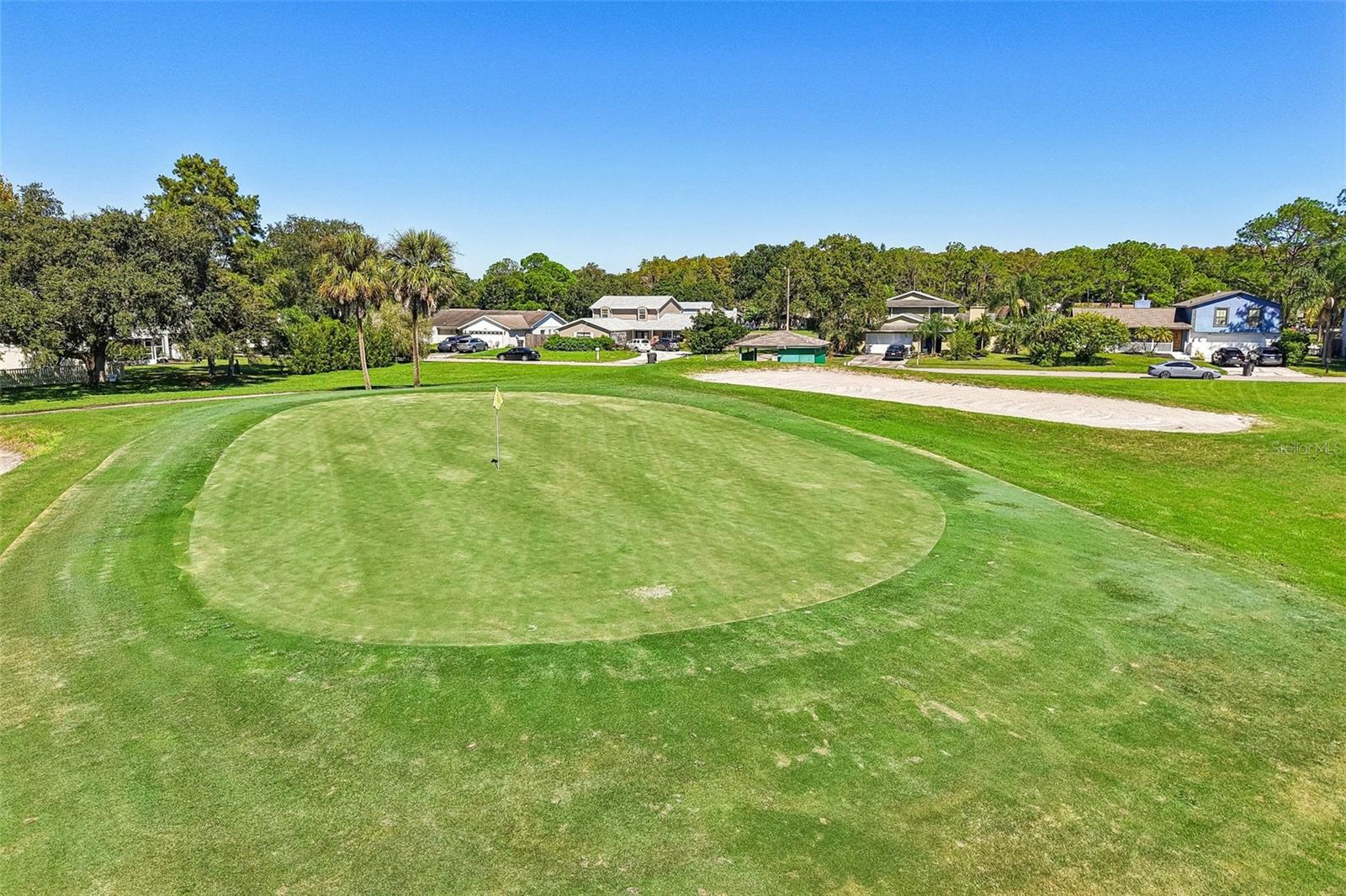 16148 GARDENDALE DRIVE, Tampa, FL 33624