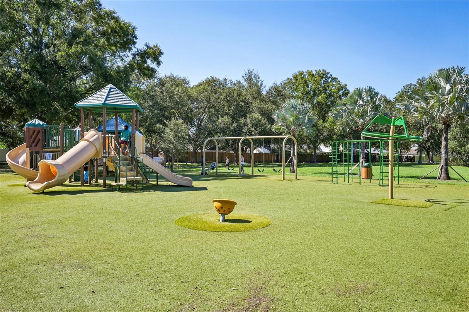 16148 GARDENDALE DRIVE, Tampa, FL 33624