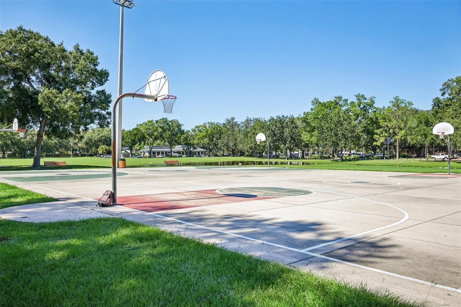 16148 GARDENDALE DRIVE, Tampa, FL 33624