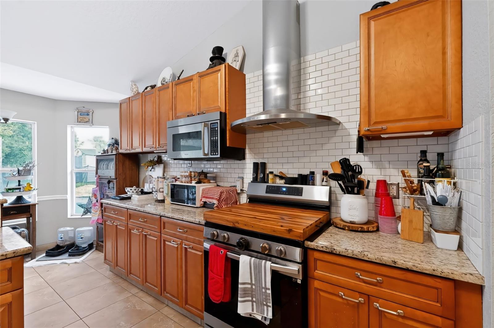 11009 THORNBERRY DRIVE, Spring Hill, FL 34608