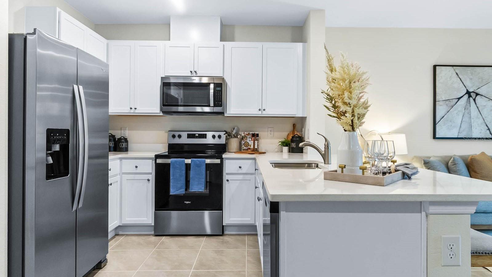 31210 PAPER BIRCH STREET, Wesley Chapel, FL 33545