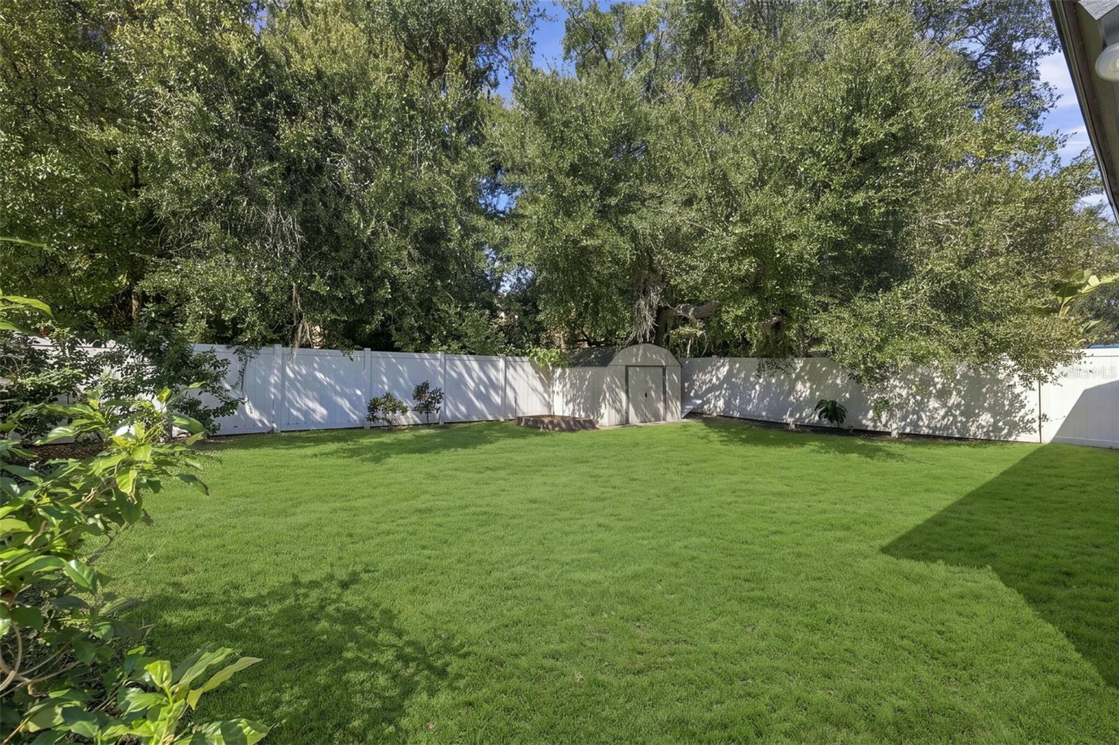 virtually enhanced grass