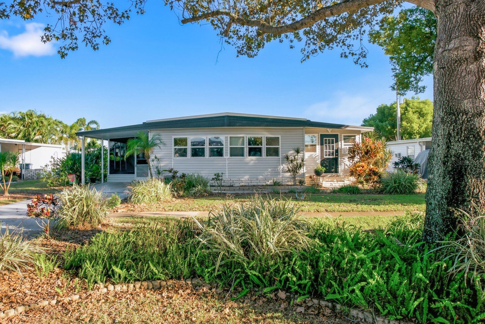 185 LAKE TARPON DRIVE, #31, Palm Harbor, FL 34684 185 LAKE TARPON DRIVE, #31, Palm Harbor, FL 34684