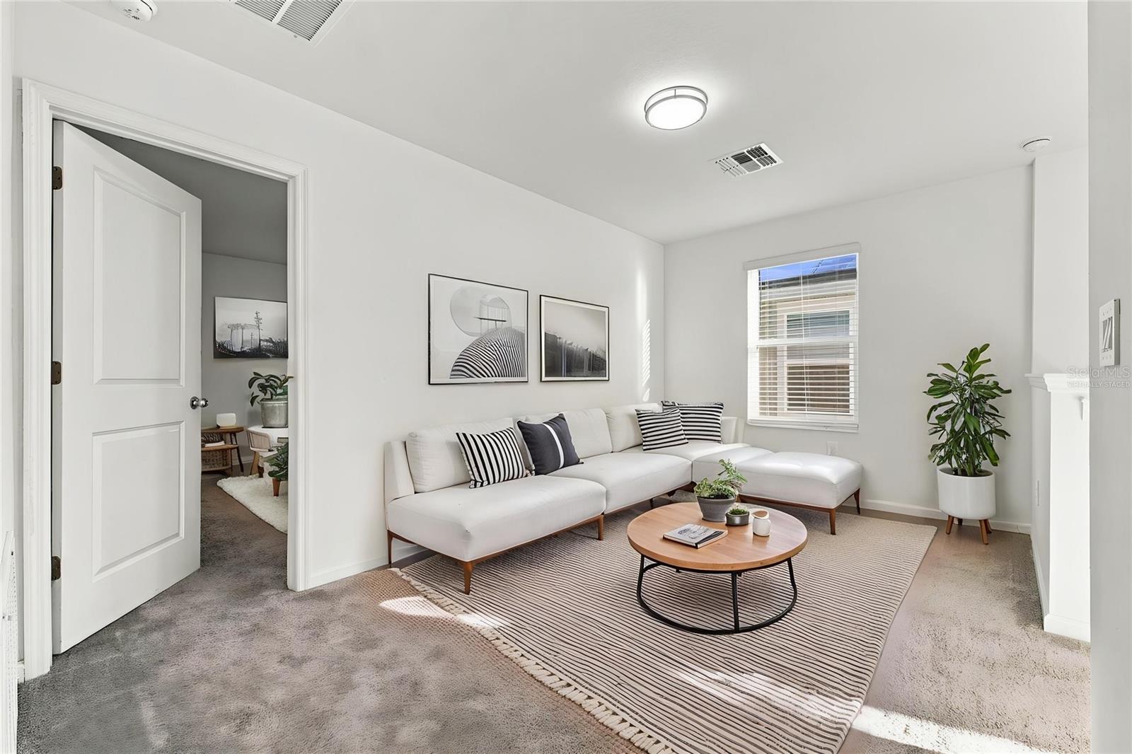 Bonus Room - Virtually Staged