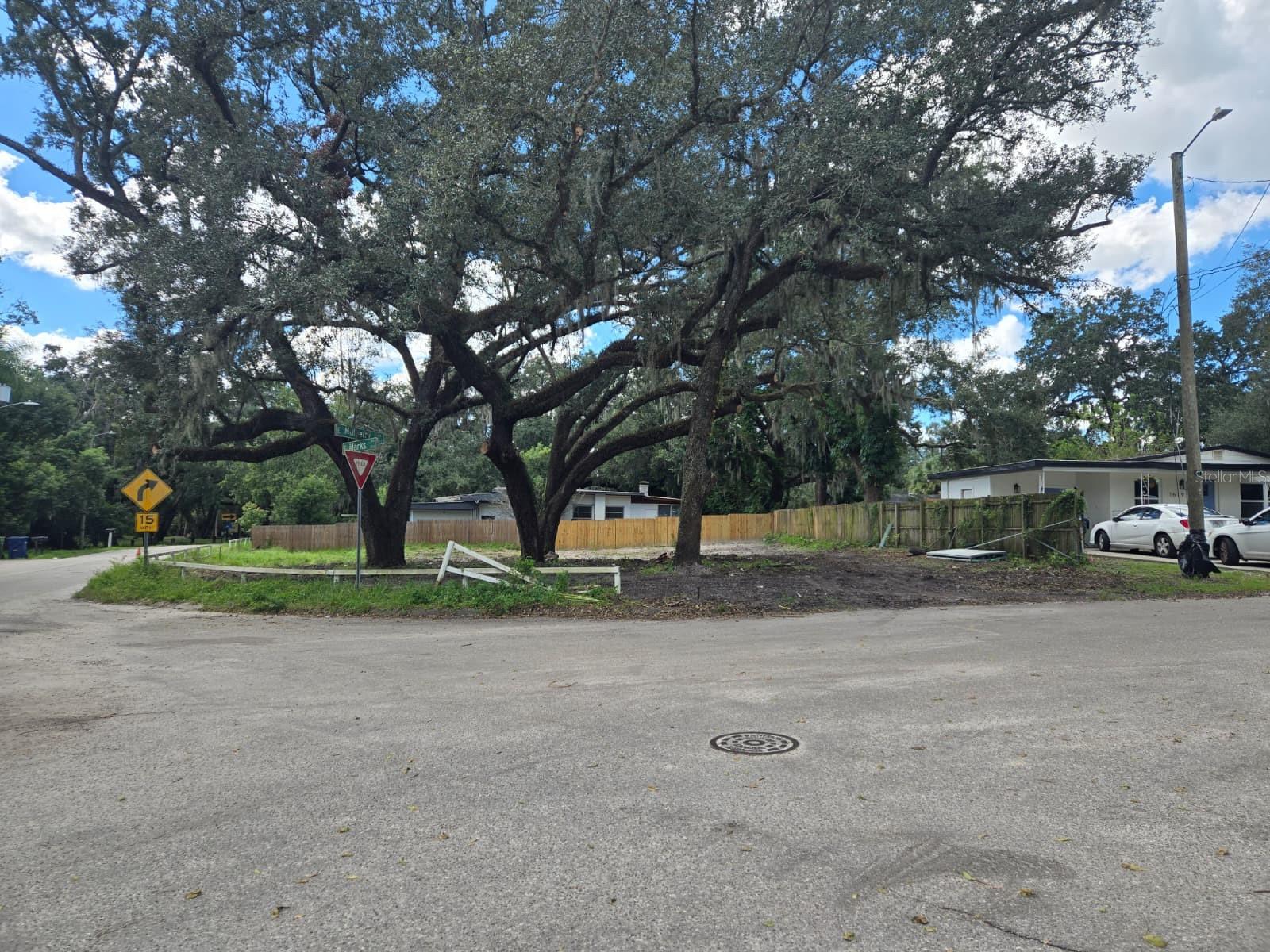 View of a corner lot from the street