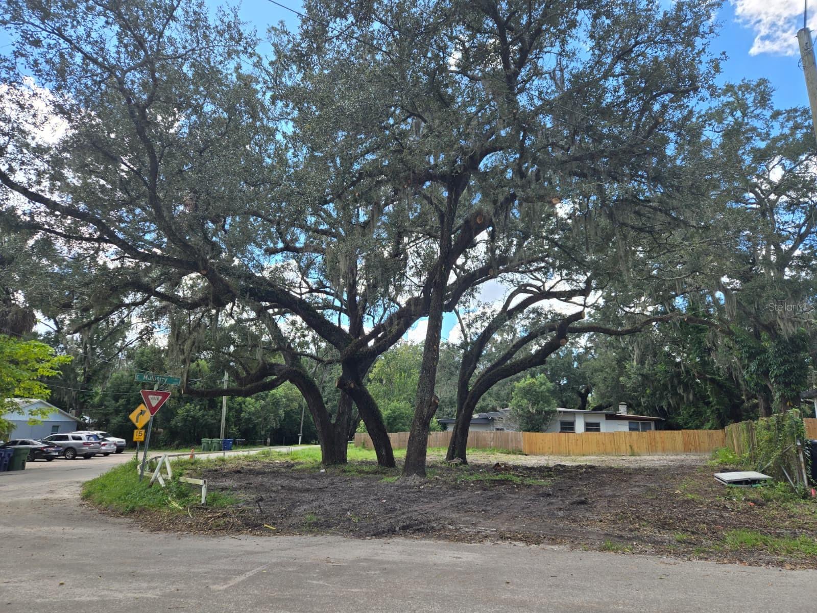 View of a corner lot from the street