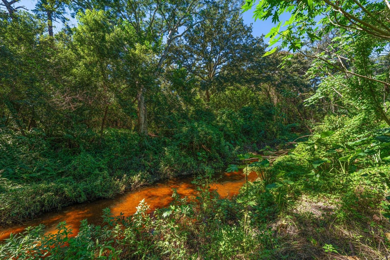 1652 HOBBIT ROAD, Dunedin, FL 34698