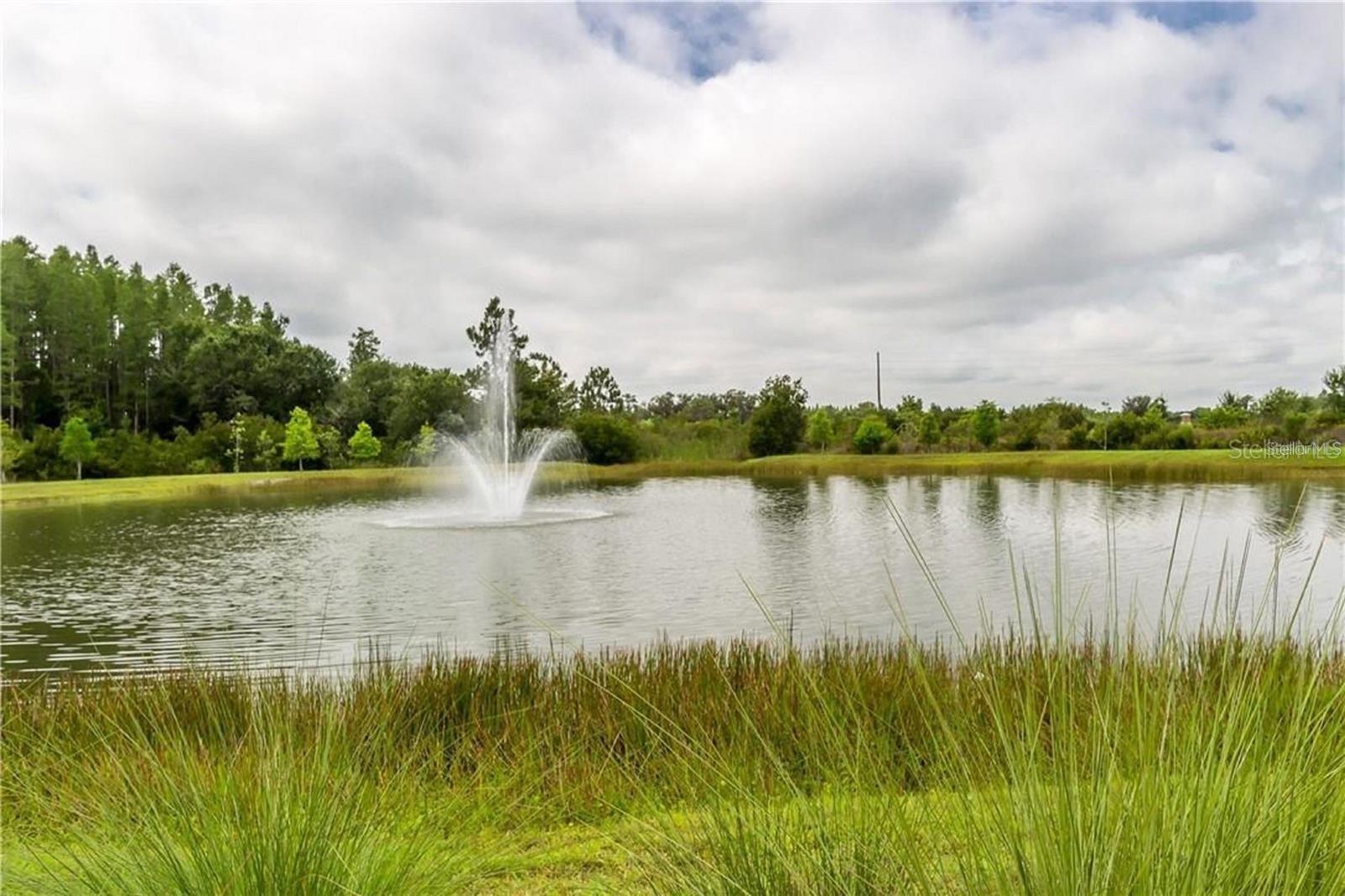 30333 SOUTHWELL LANE, Wesley Chapel, FL 33543