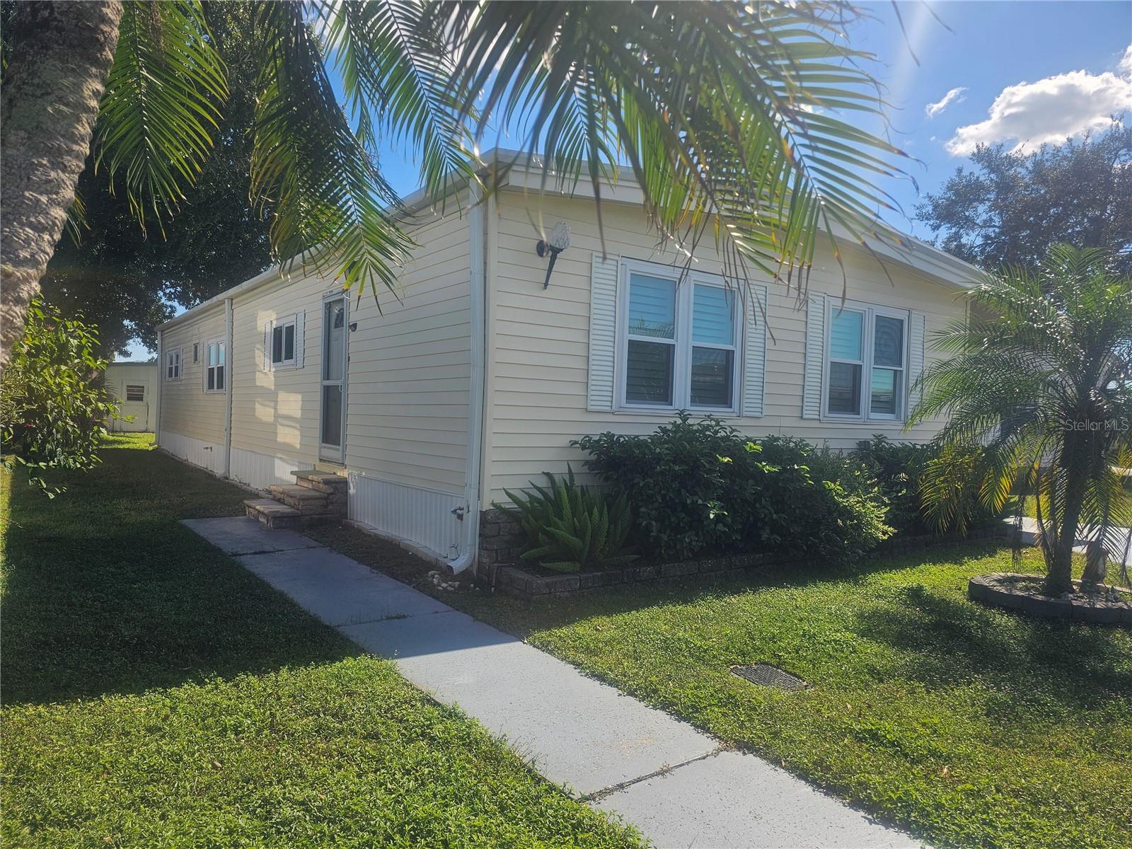 Left Side Yard