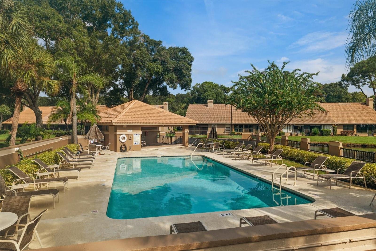 Community solar heated pool