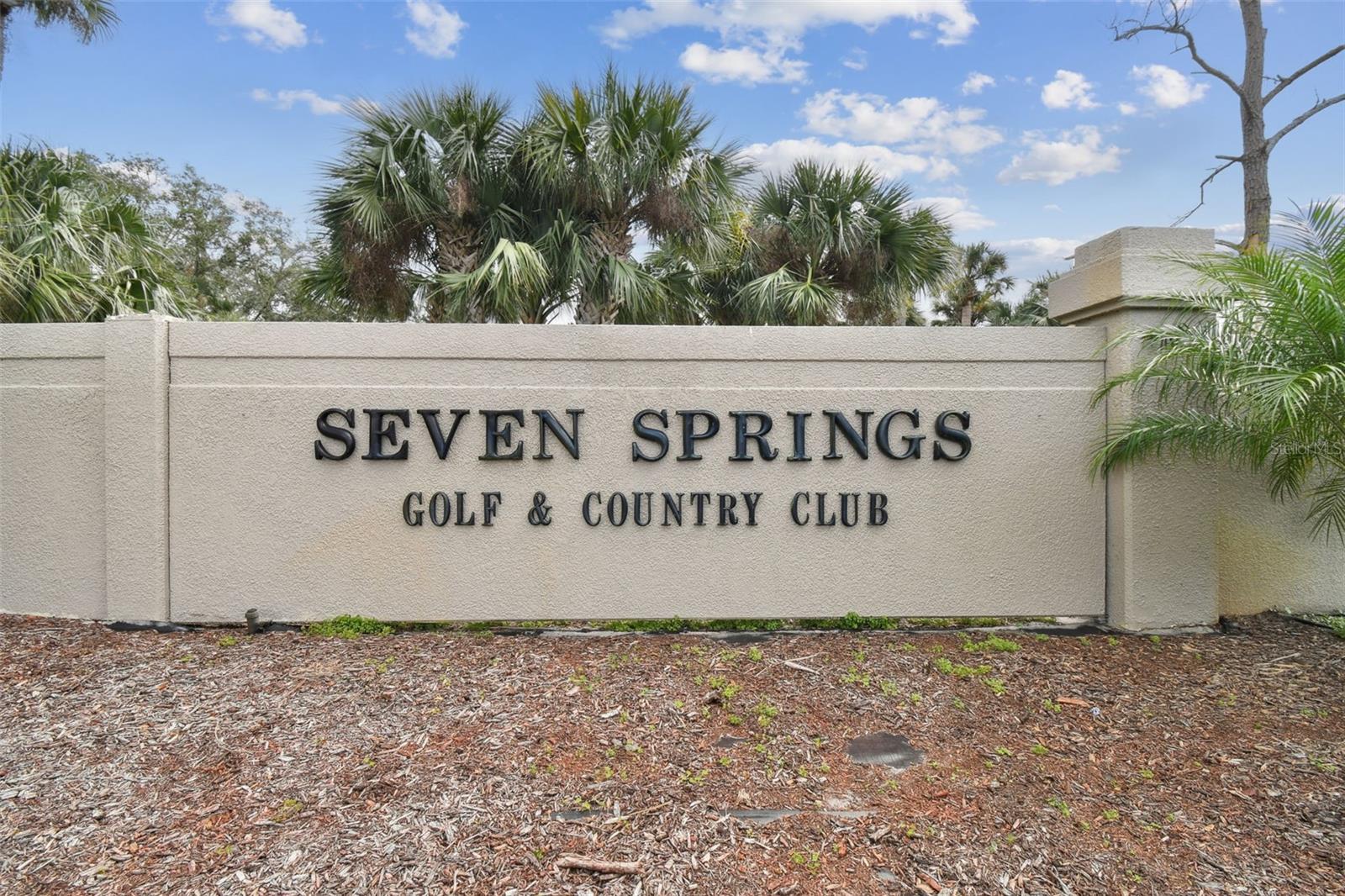 3411 TEESIDE DRIVE, #3411, New Port Richey, FL 34655