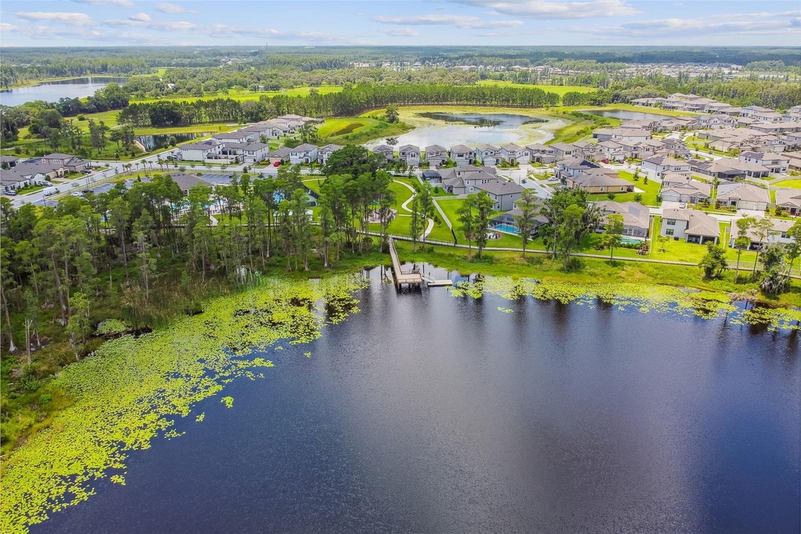 19971 STONE PINE CIRCLE, Lutz, FL 33558