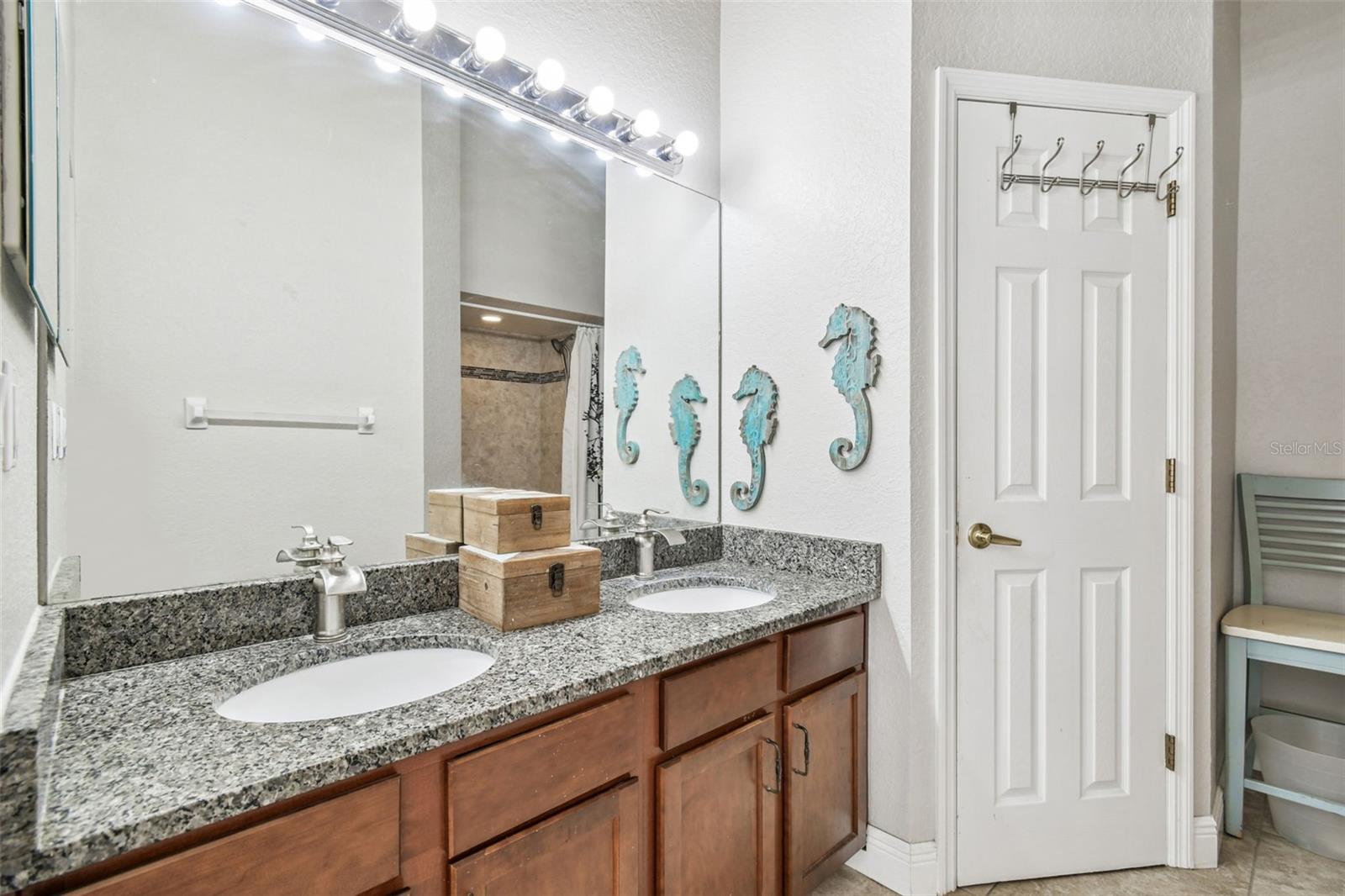 1627 HAMMOCKS AVENUE, Lutz, FL 33549