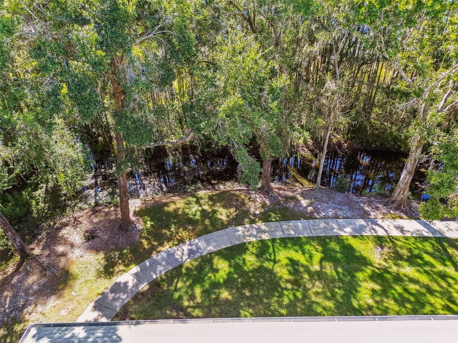 1627 HAMMOCKS AVENUE, Lutz, FL 33549