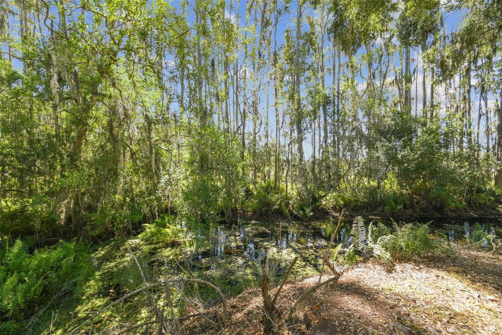 1627 HAMMOCKS AVENUE, Lutz, FL 33549