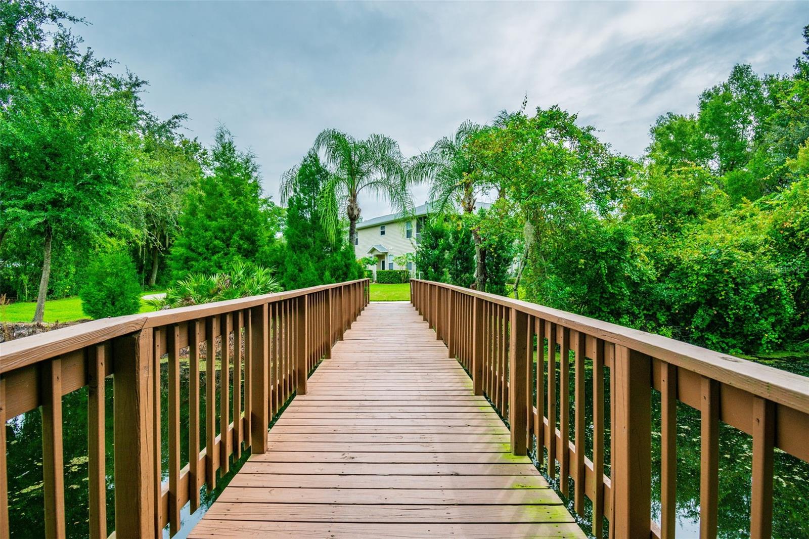 1627 HAMMOCKS AVENUE, Lutz, FL 33549