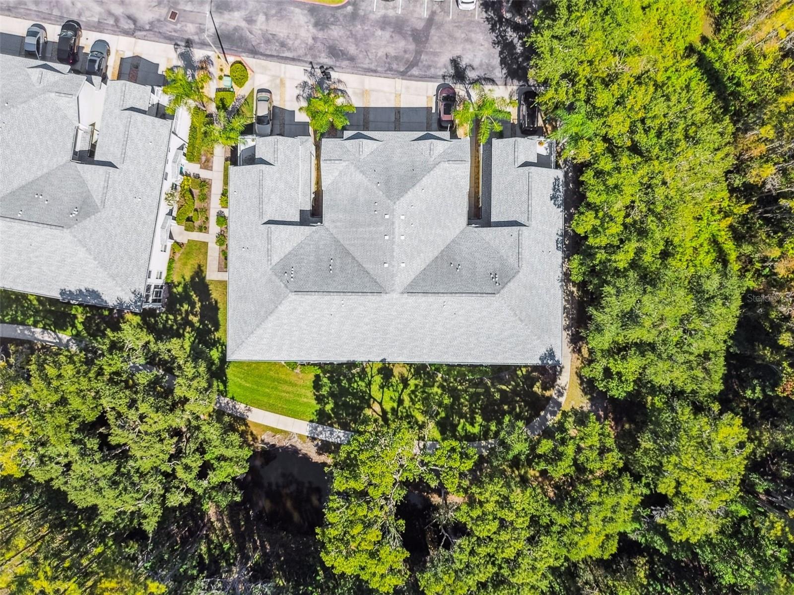 1627 HAMMOCKS AVENUE, Lutz, FL 33549