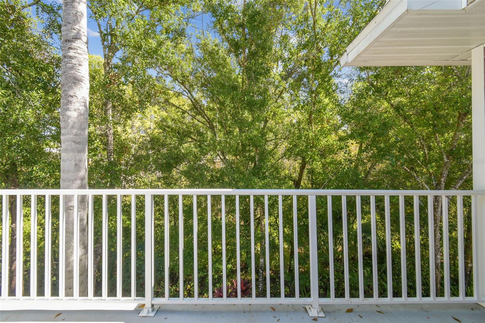 1627 HAMMOCKS AVENUE, Lutz, FL 33549