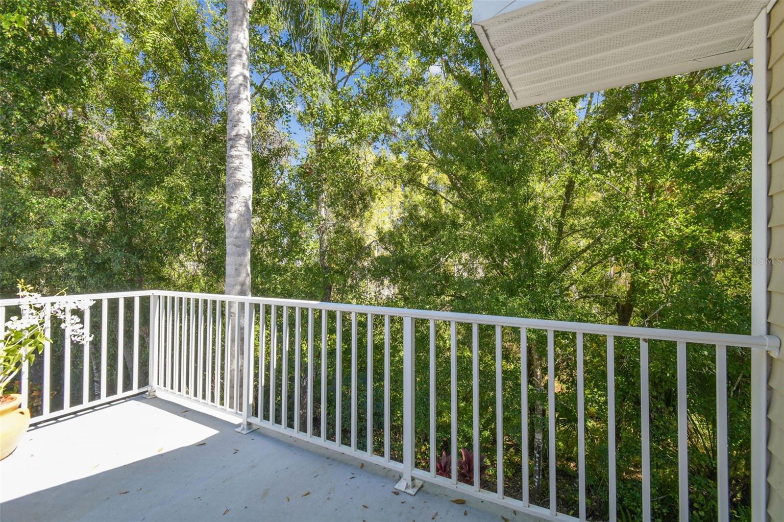 1627 HAMMOCKS AVENUE, Lutz, FL 33549