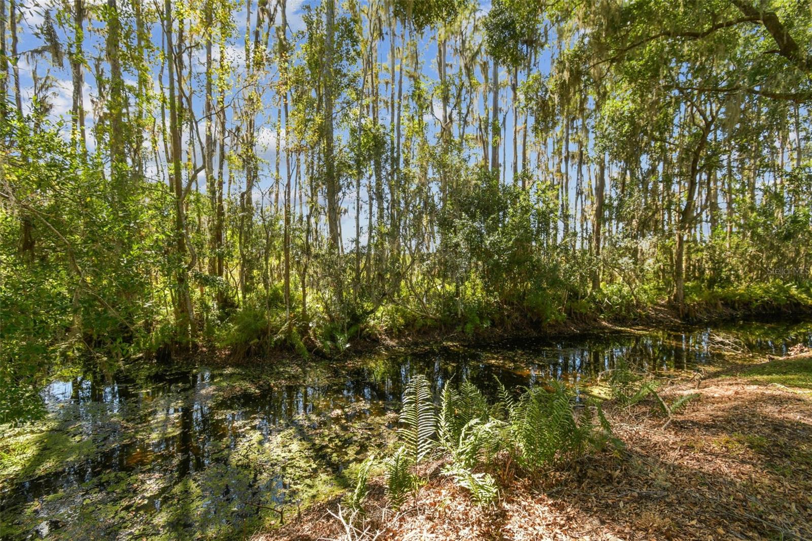 1627 HAMMOCKS AVENUE, Lutz, FL 33549