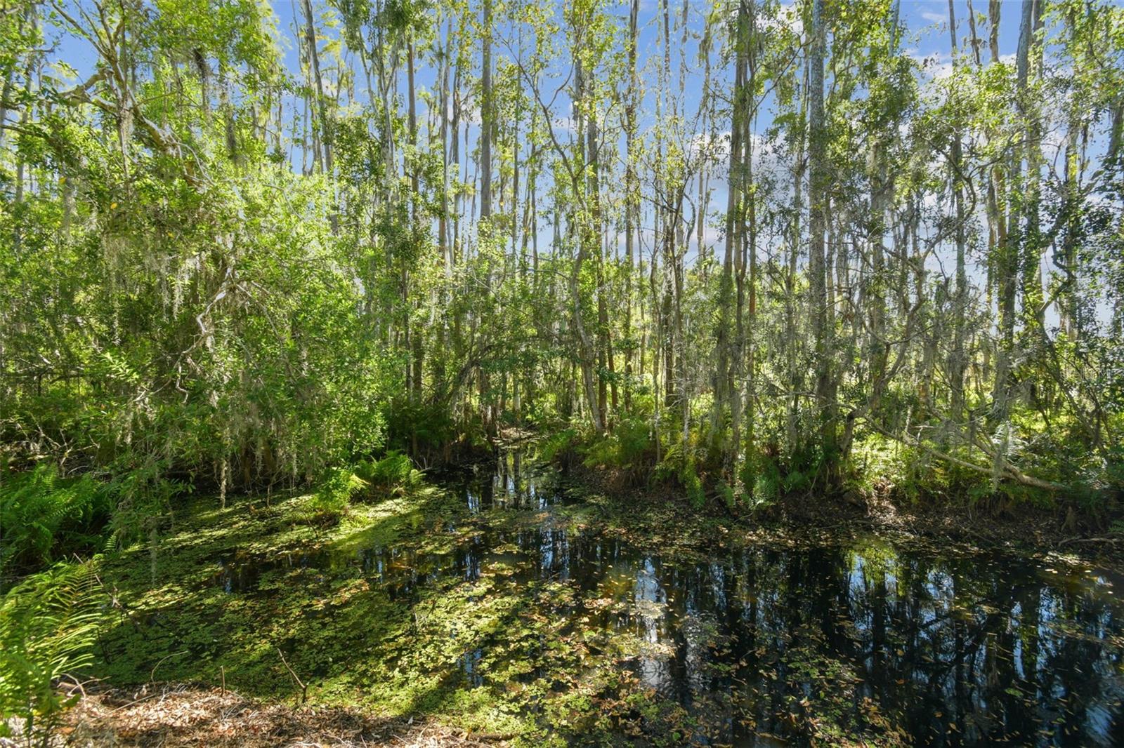 1627 HAMMOCKS AVENUE, Lutz, FL 33549