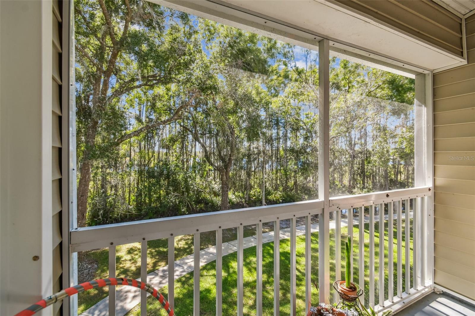 1627 HAMMOCKS AVENUE, Lutz, FL 33549