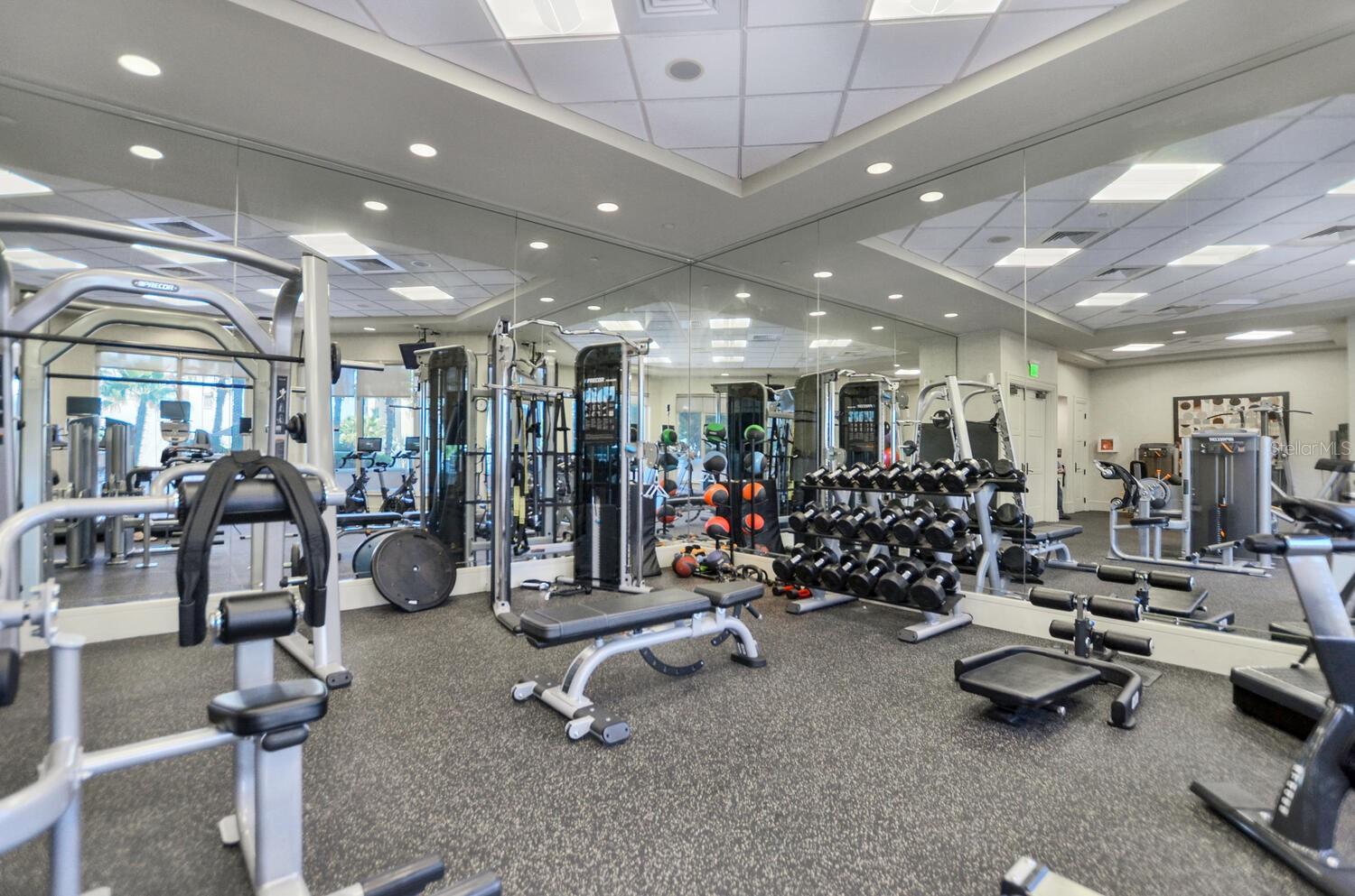 5823 BOWEN DANIEL DRIVE, #902, Tampa, FL 33616