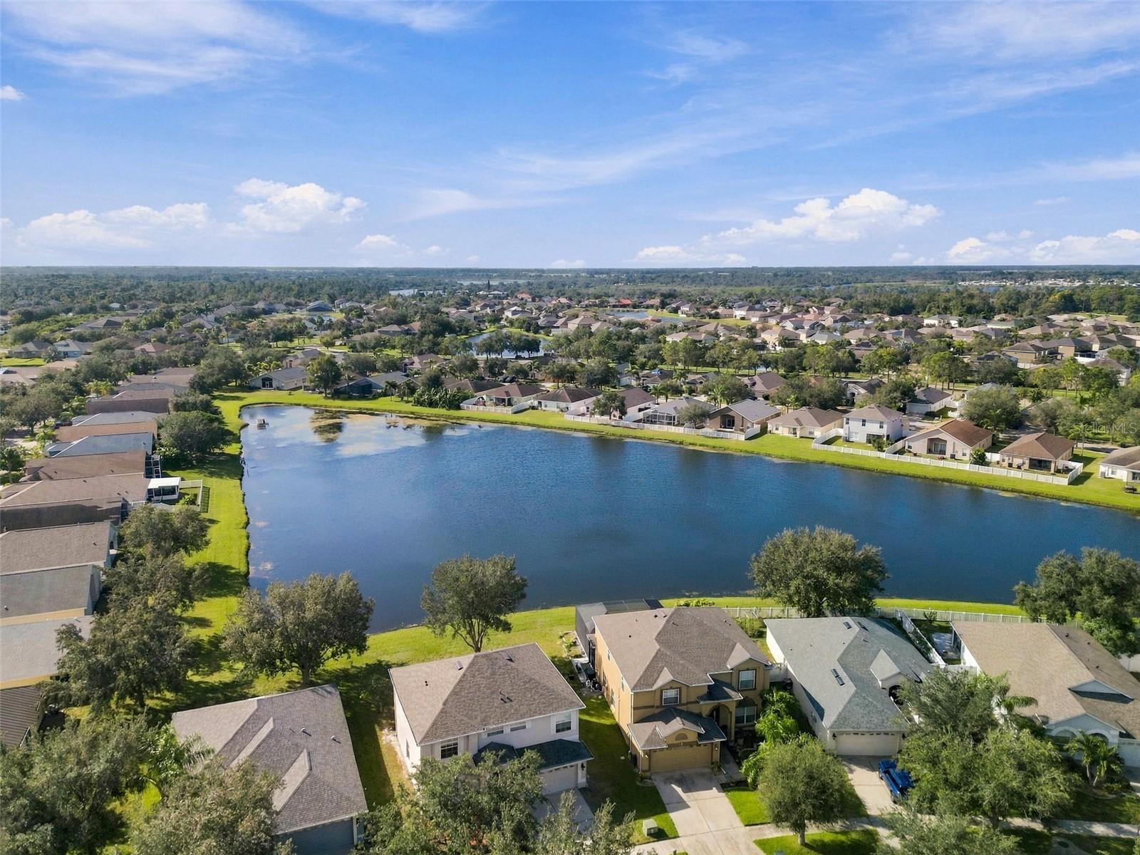 Pond View