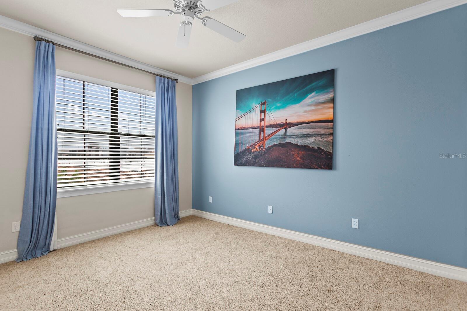 224 S AUDUBON AVENUE, Tampa, FL 33609