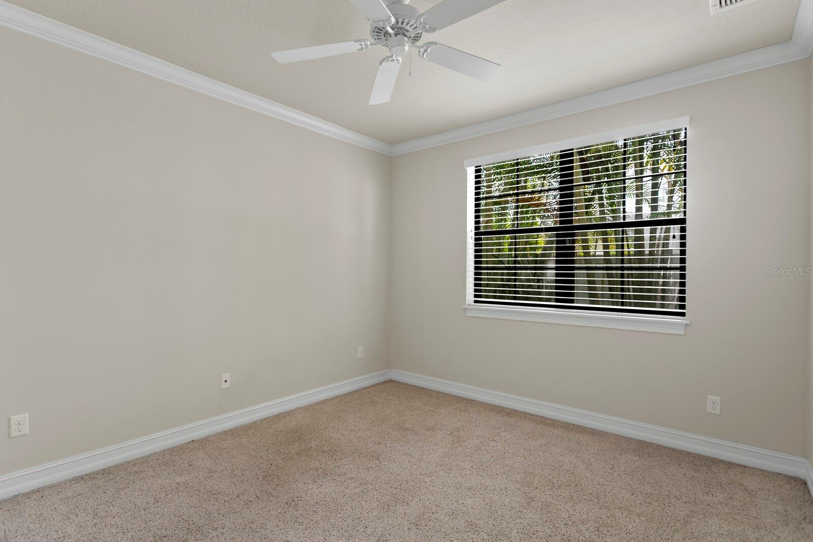 224 S AUDUBON AVENUE, Tampa, FL 33609