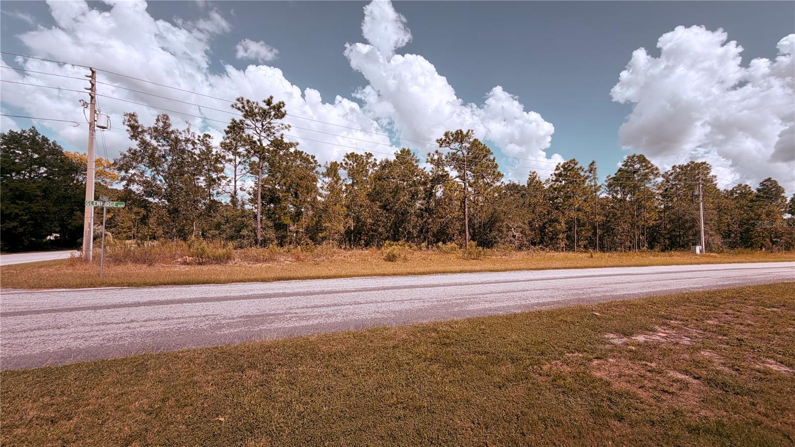 48 GLENRIDGE BOULEVARD, Homosassa, FL 34446