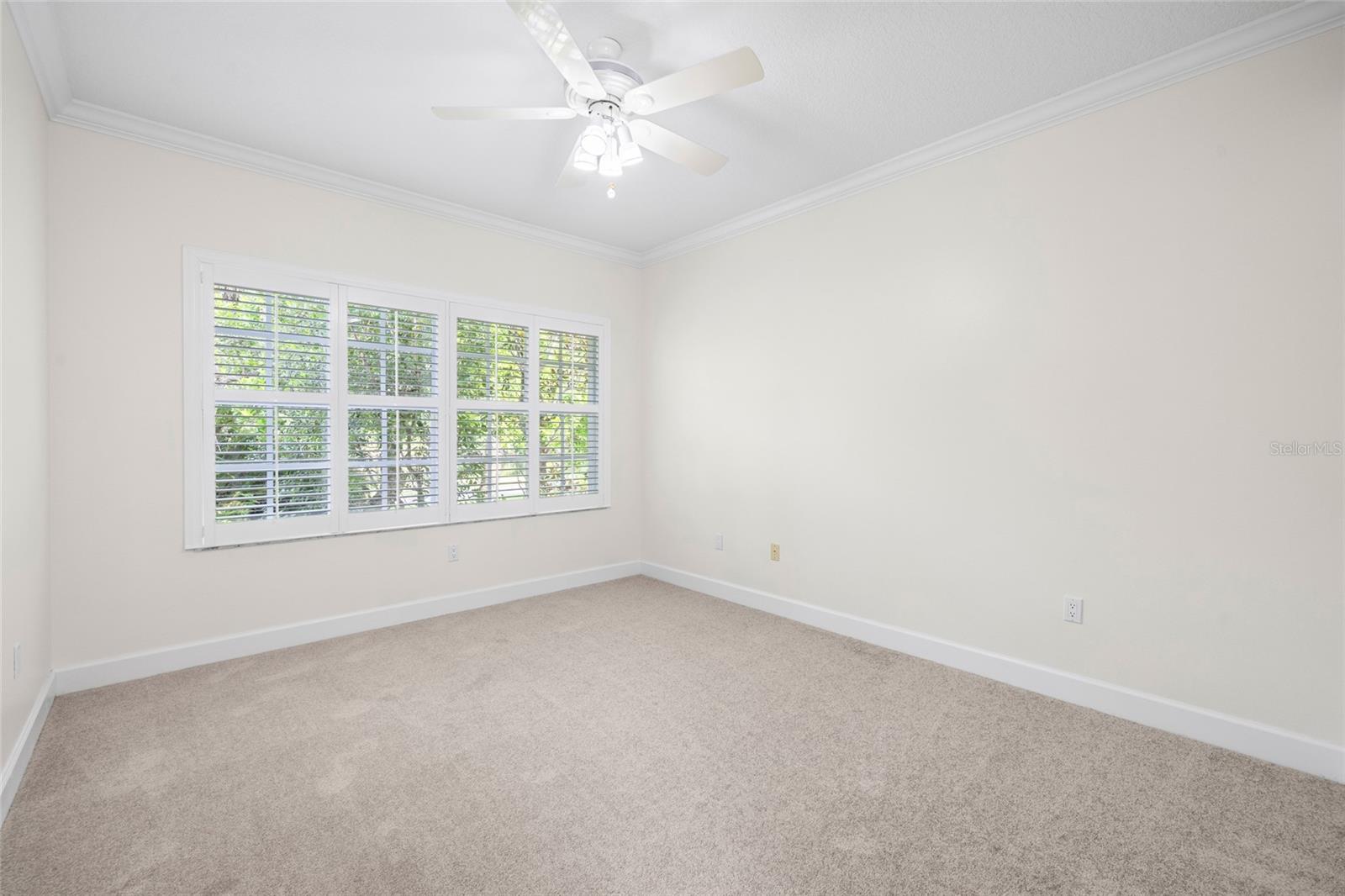 12009 BREWSTER DRIVE, Tampa, FL 33626