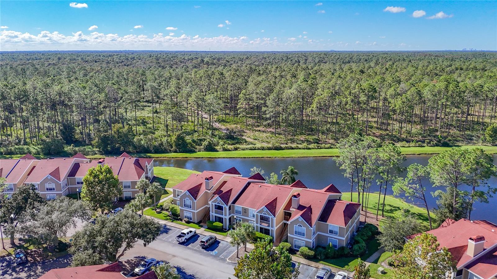 9481 HIGHLAND OAK DRIVE, #1202, Tampa, FL 33647