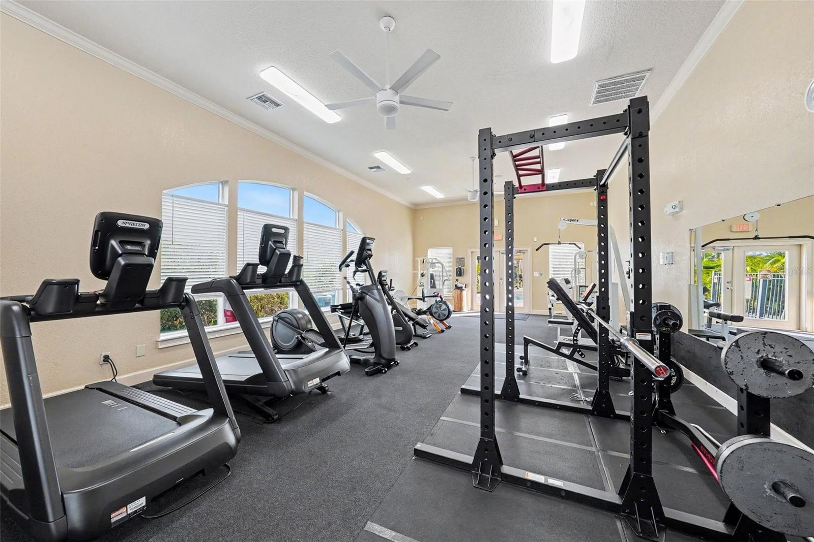 4306 BAYSIDE VILLAGE DRIVE, #204, Tampa, FL 33615