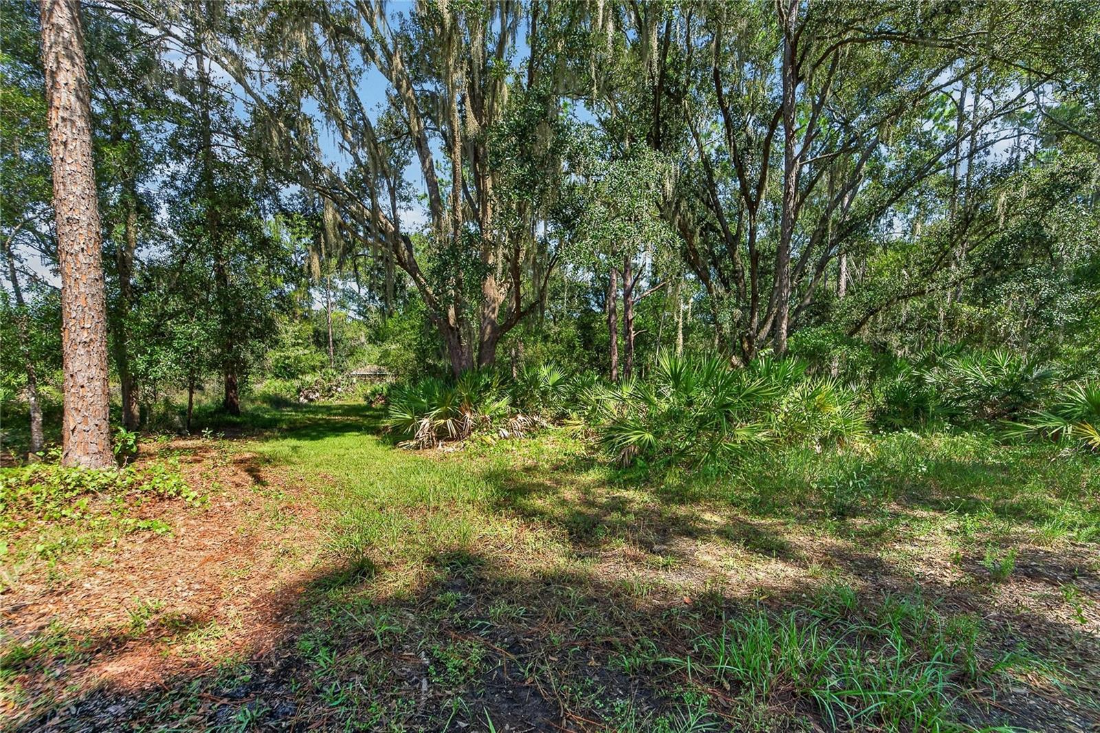 28329 LINDENHURST DRIVE, Wesley Chapel, FL 33544