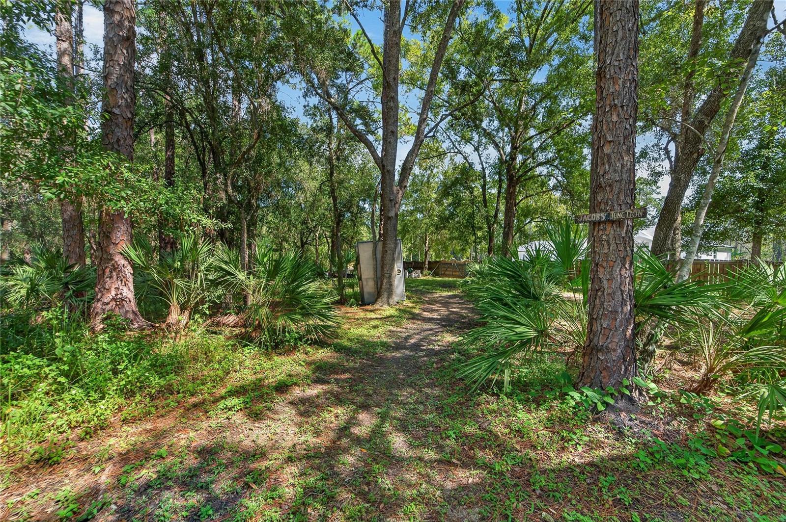 Lots of trails on the wooded lots