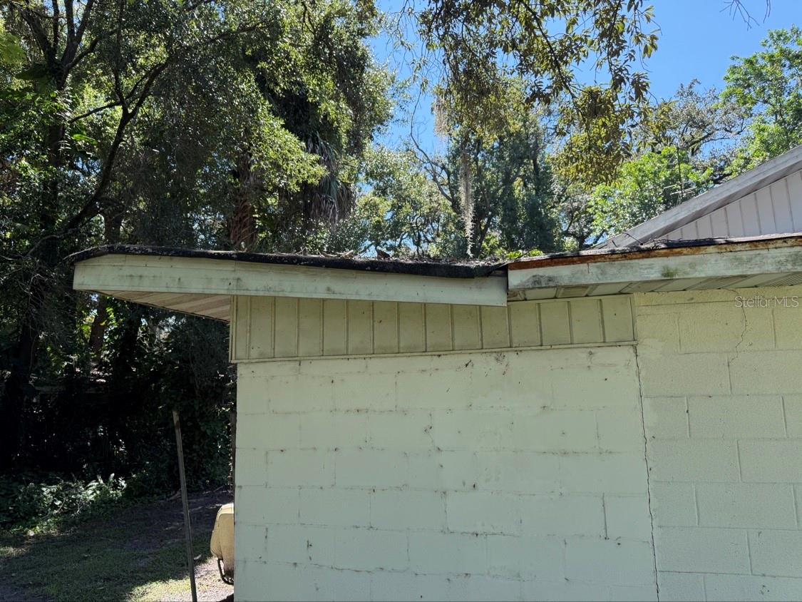 10109 N JASMINE AVENUE, Tampa, FL 33612