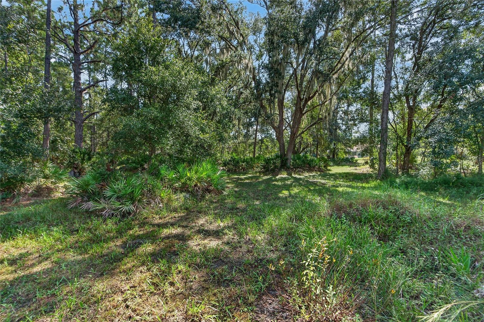 Trails in wooded lots