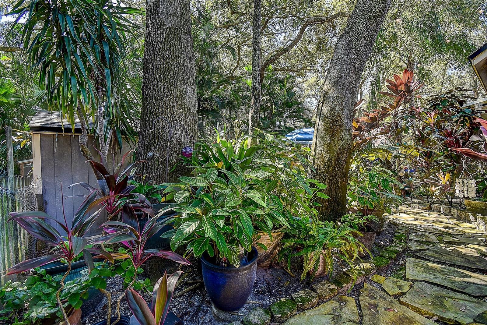 2665 BEAGLE PATH WAY, Palm Harbor, FL 34683