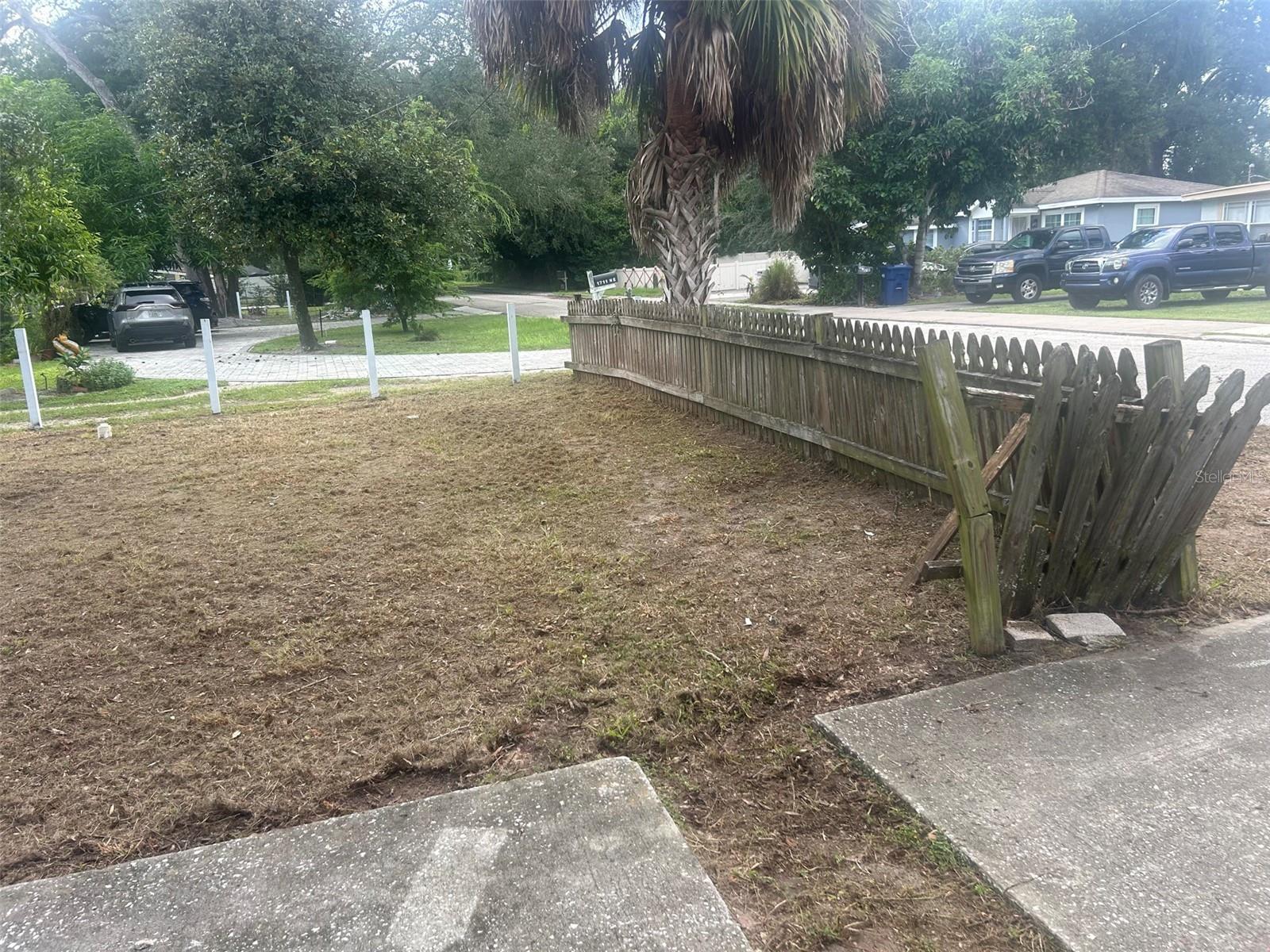 front yard