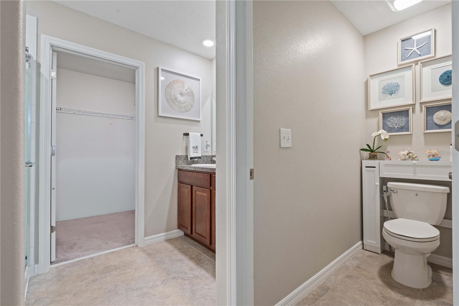 3717 CAT MINT STREET, Tampa, FL 33619