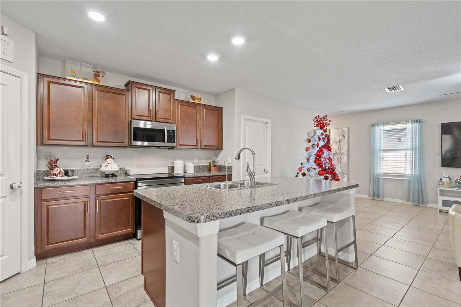 3717 CAT MINT STREET, Tampa, FL 33619