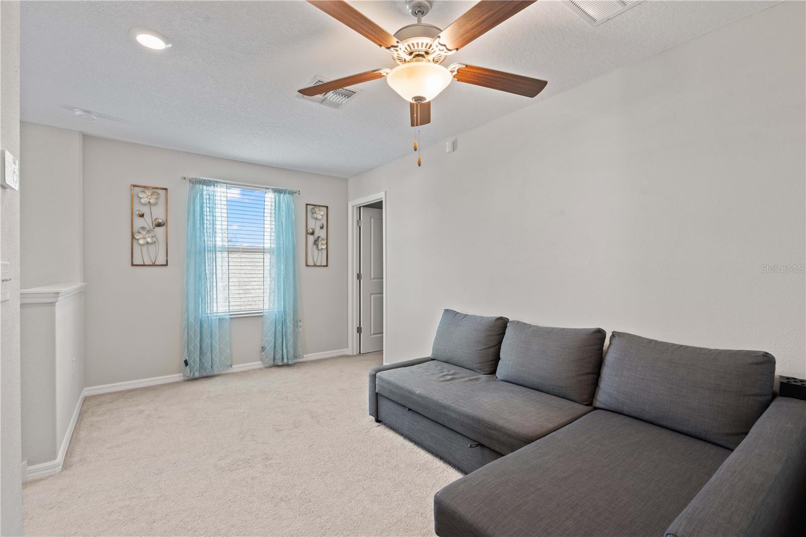 3717 CAT MINT STREET, Tampa, FL 33619