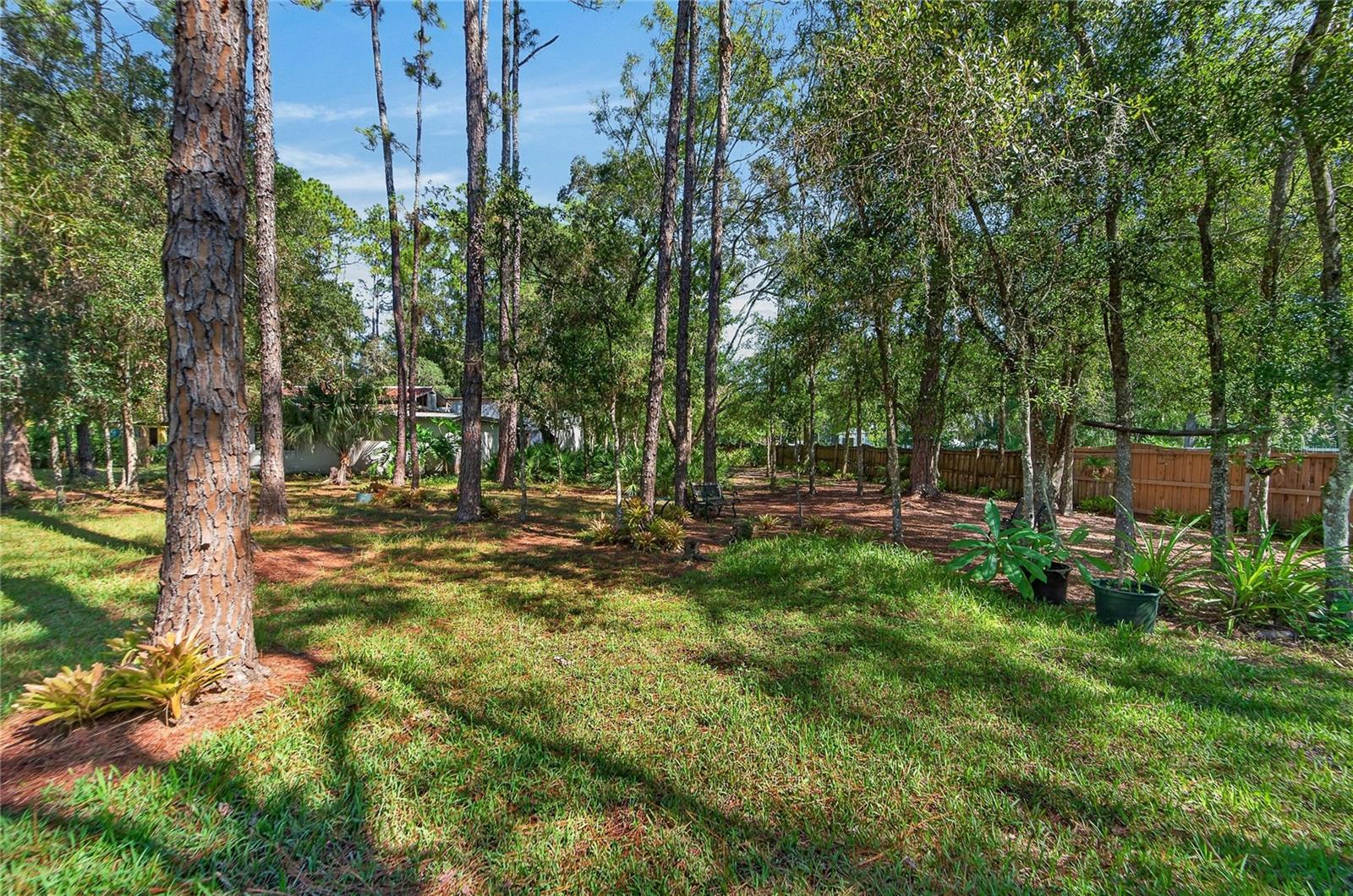 0 LINDENHURST DRIVE, Wesley Chapel, FL 33544