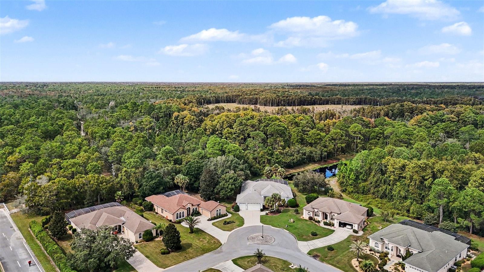 8405 CHARLESTON DRIVE, Weeki Wachee, FL 34613