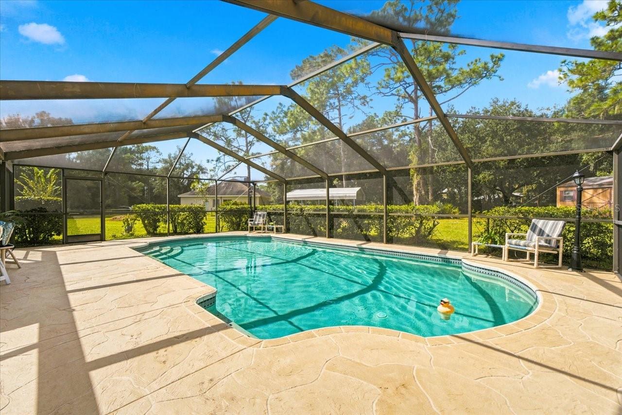 26953 CORAL VINE LANE, Wesley Chapel, FL 33544