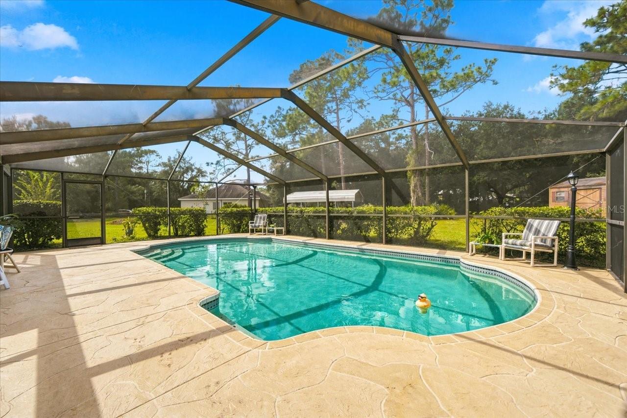 26953 CORAL VINE LANE, Wesley Chapel, FL 33544